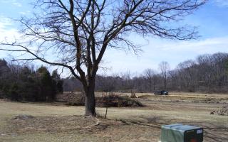 Pond Work by Arentz Enterprises